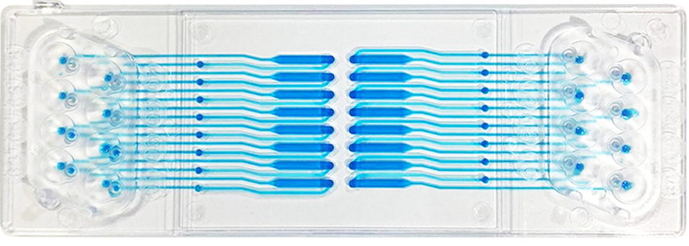 Lab-on-a-Chip