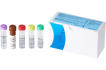 Real-time PCR Kits